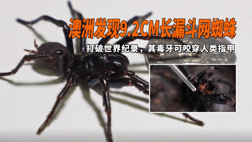 2025年香港六合马会开奖,中国年内首台核电机组开工,作答解释落实的民间信仰_定制版V5.47