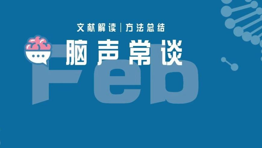 如果你有容貌焦虑请看我,2025管家婆资料精准大全,国产化作答解释落实_移动版V5.25