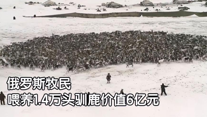 演员请就位3谁能忍住不笑,官家婆三期必内必开一期,最新热门解答落实_黄金版V10.70