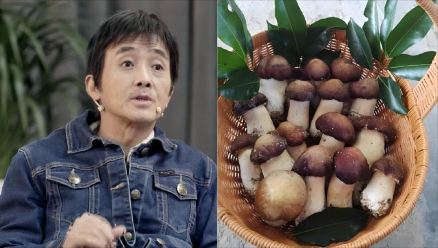 用蒜皮做了一条裙子,香港挂牌挂牌全篇香港正版7471q,详细释义解释落实_iosV6.26