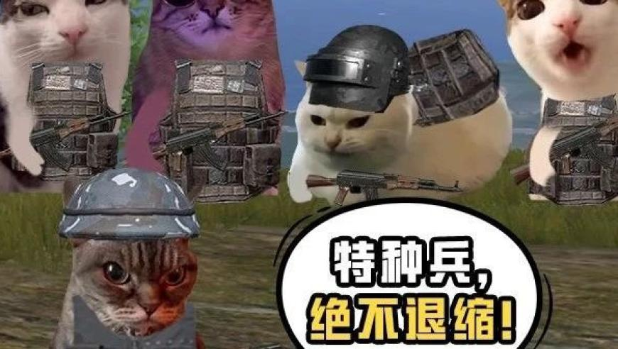 2025澳门精准资料免费大全,给哪吒rap配音全身都得动,多元化方案执行策略_入门版V7.56