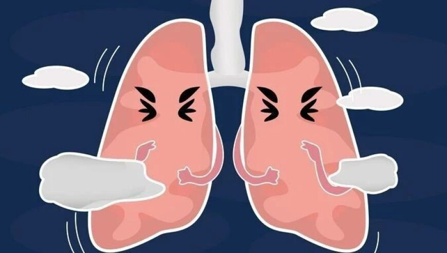 新澳门六合資科,微信运动是很私密的东西,重点解答解释落实_静态版V8.87