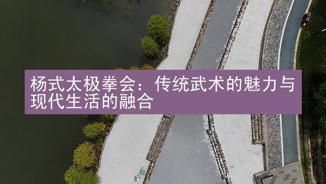 杨式太极拳会：传统武术的魅力与现代生活的融合